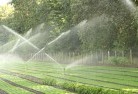 Goomerilandscaping-water-management-and-drainage-17.jpg; ?>